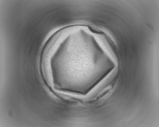 X0000115291438200911231239