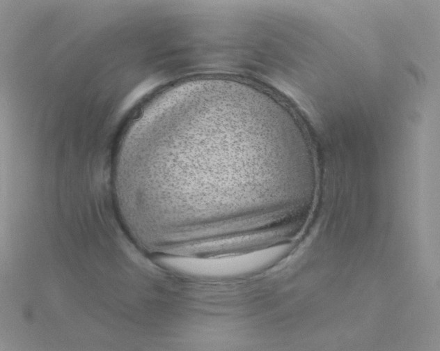 X0000115291450200911231239