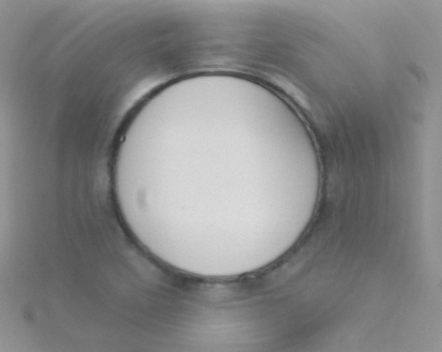 X0000115291458200911231238