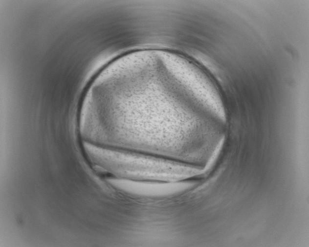 X0000115291469200911231238