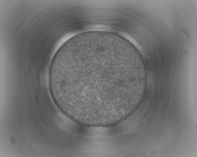 X0000115291474200911231238