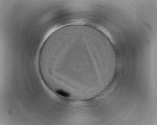 X0000115291475200911231238