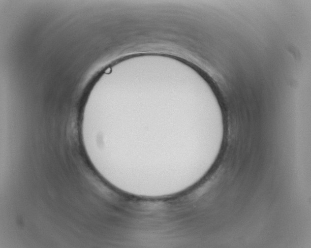 X0000115291498200911231238