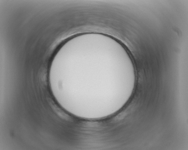 X0000115291499200911231238