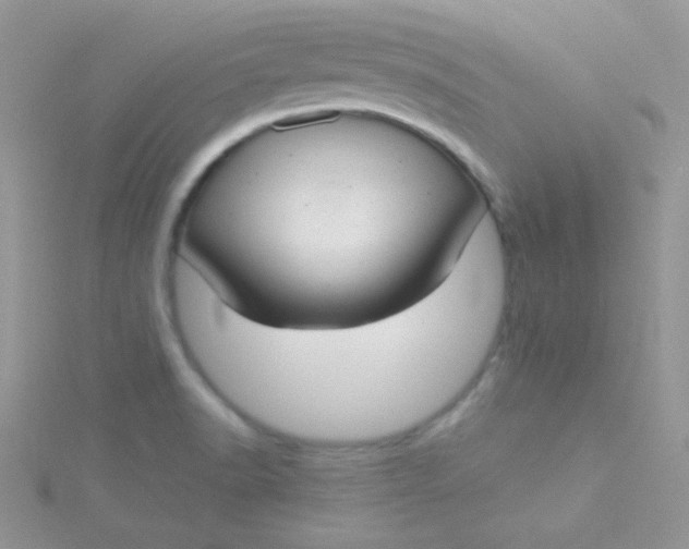 X0000115291518200911231238