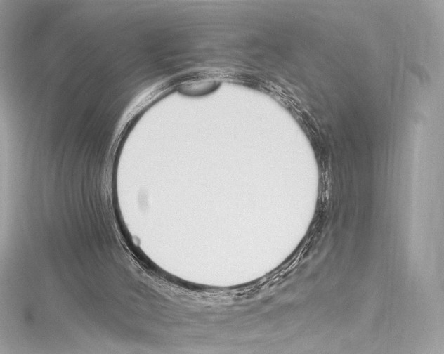 X0000115290004200911301343