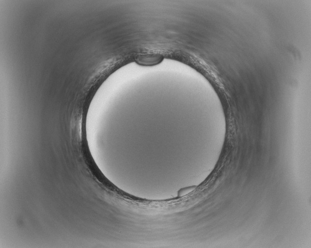 X0000115290019200911301343