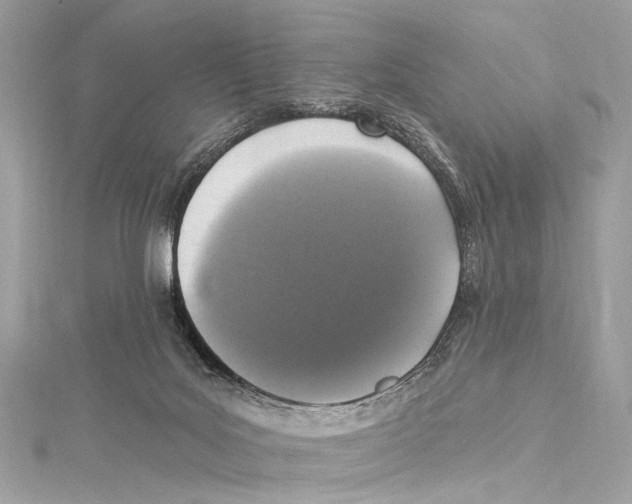 X0000115290027200911301343