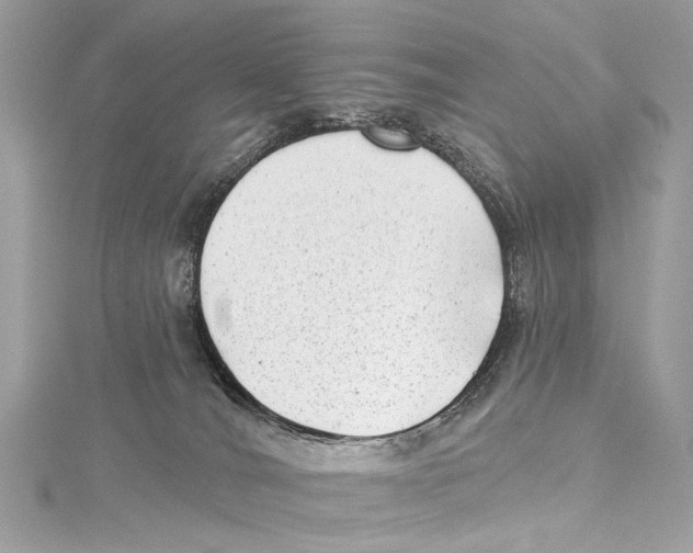 X0000115290036200911301343