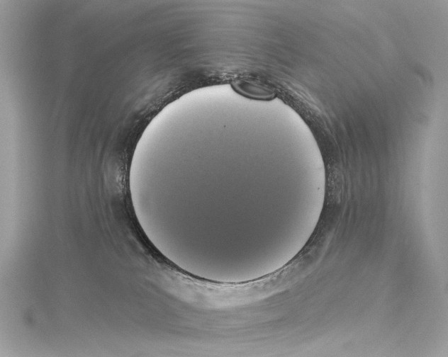 X0000115290039200911301343
