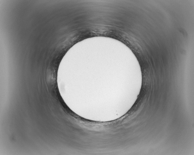 X0000115290040200911301343