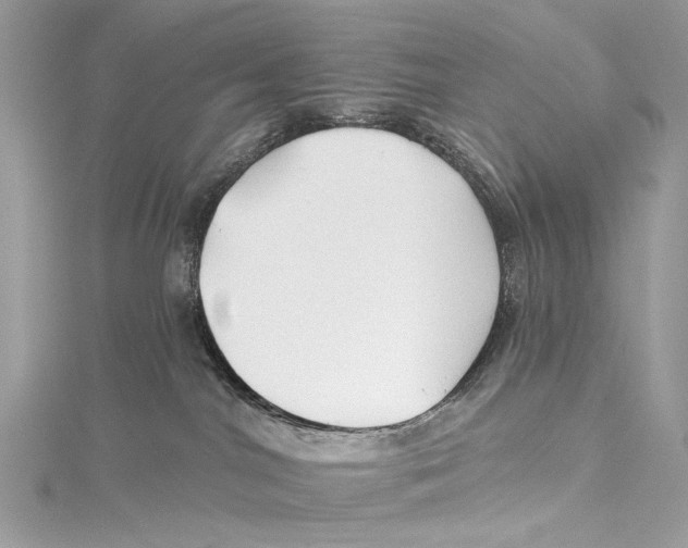X0000115290044200911301343