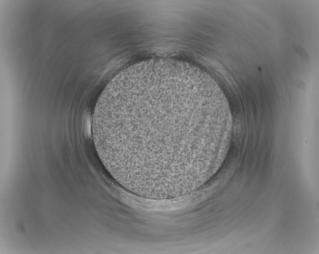 X0000115290046200911301343