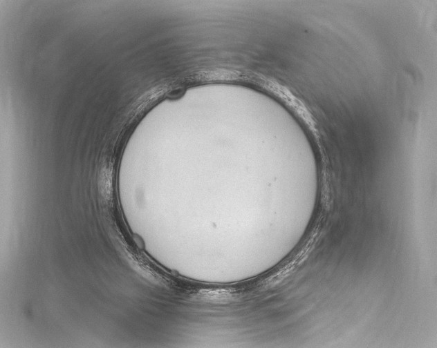 X0000115290057200911301342