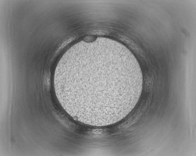 X0000115290064200911301342