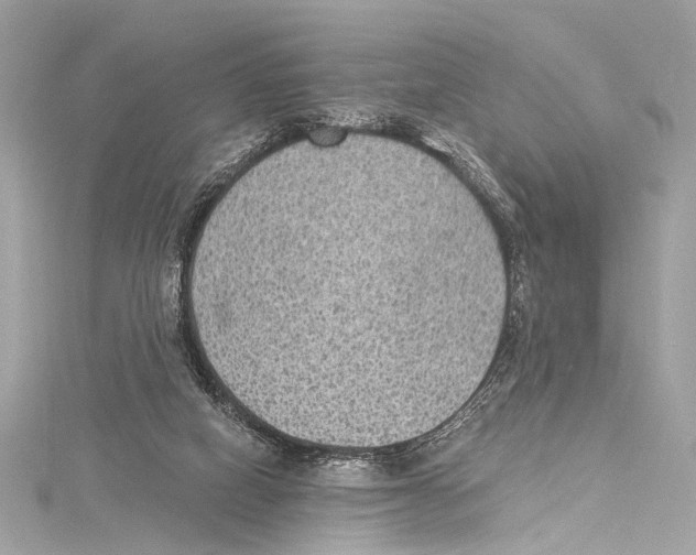 X0000115290066200911301342