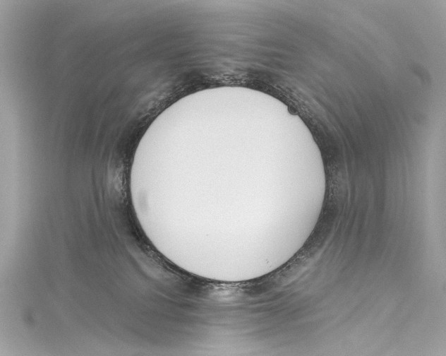 X0000115290088200911301343