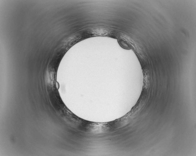 X0000115290093200911301343