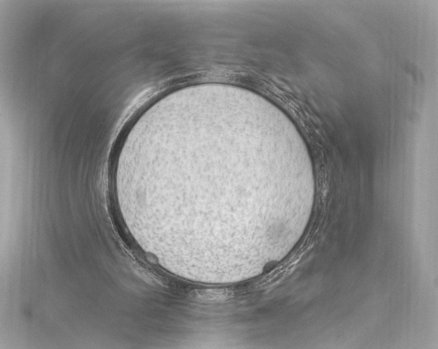 X0000115290102200911301342