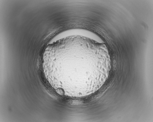 X0000115290165200911301341