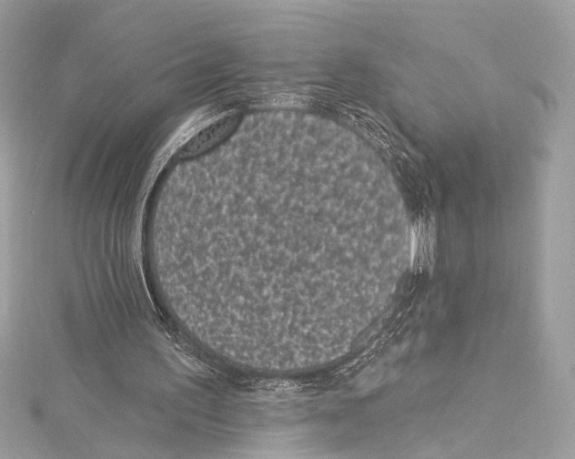 X0000115290195200911301341