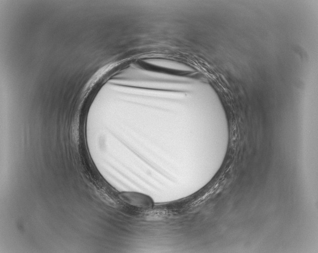 X0000115290200200911301341