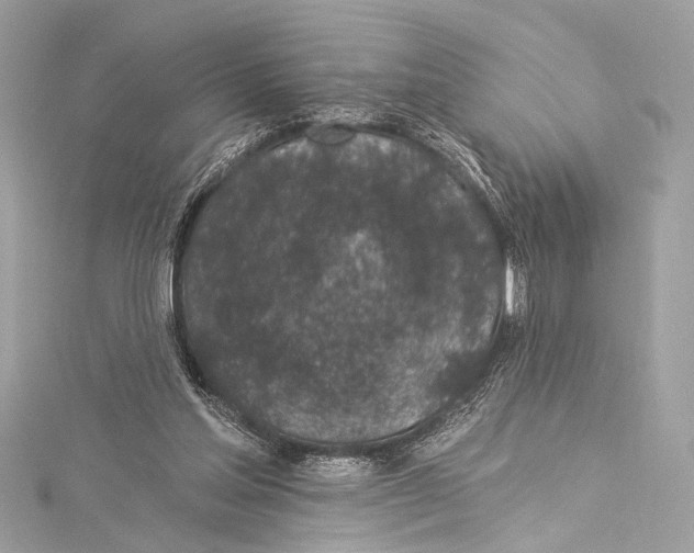 X0000115290205200911301341