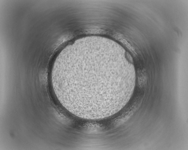 X0000115290207200911301340