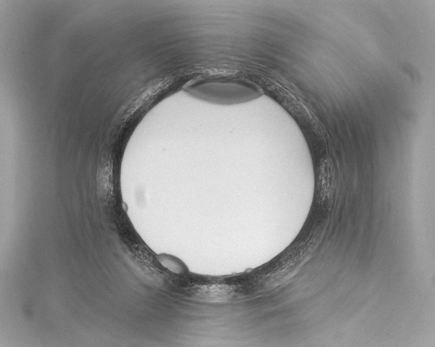 X0000115290212200911301340