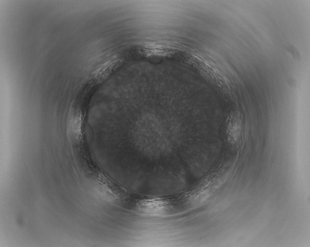 X0000115290219200911301340