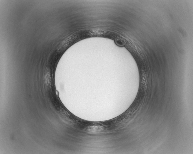 X0000115290220200911301340