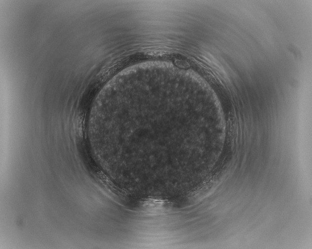X0000115290227200911301340