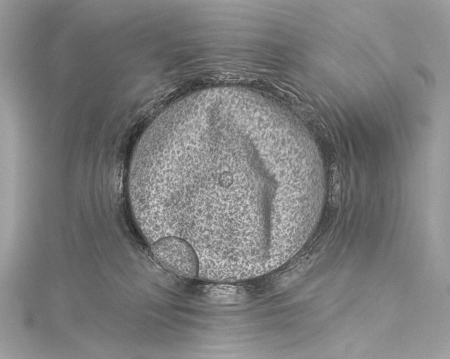 X0000115290230200911301340