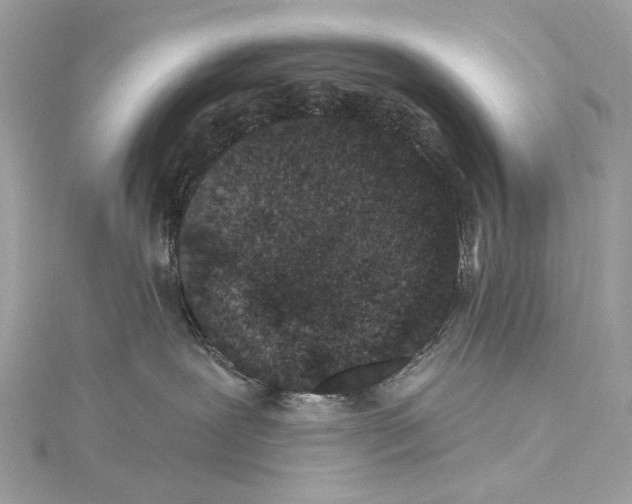 X0000115290239200911301340