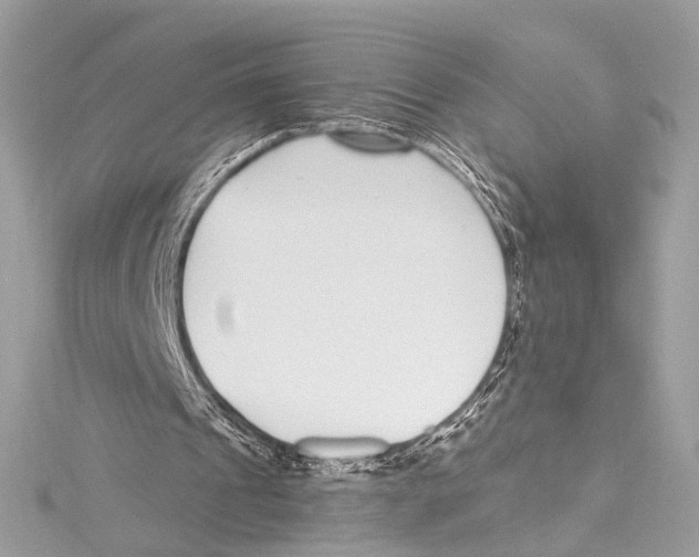 X0000115290241200911301339