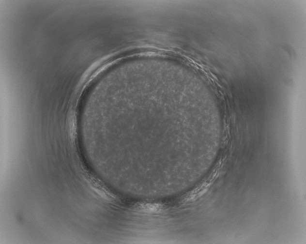 X0000115290247200911301339
