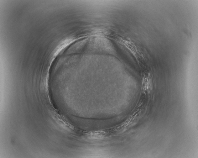 X0000115290292200911301339