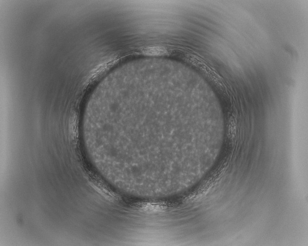 X0000115290303200911301339