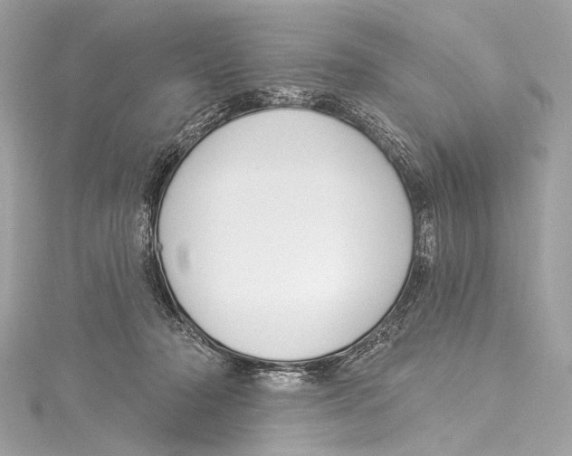 X0000115290318200911301339