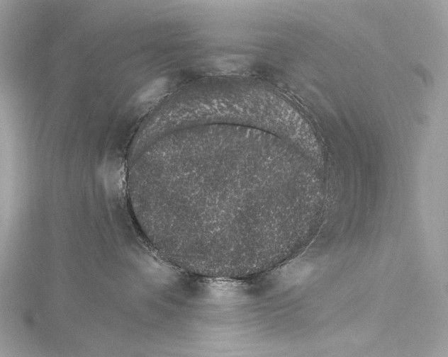 X0000115290336200911301338