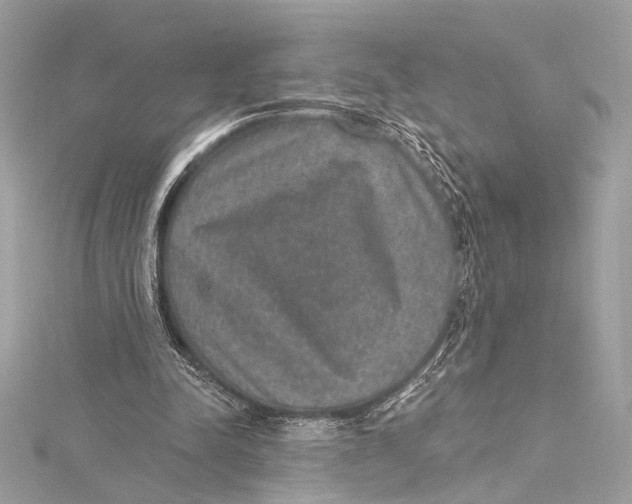 X0000115290342200911301338
