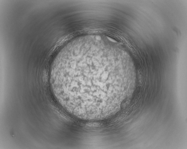 X0000115290357200911301338