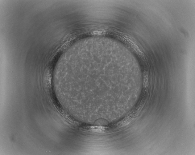 X0000115290363200911301338