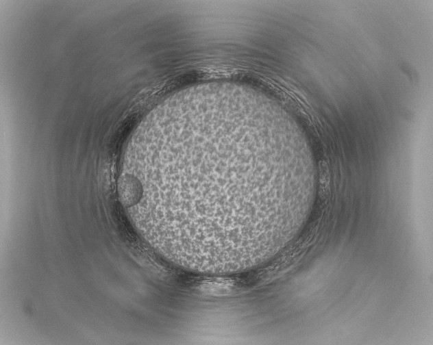 X0000115290369200911301338