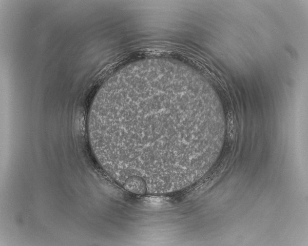 X0000115290375200911301338