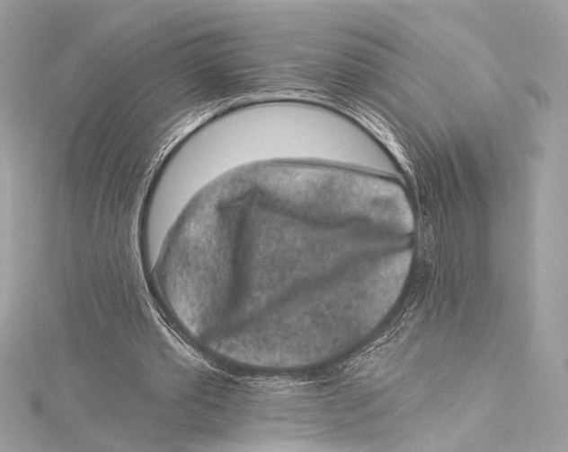 X0000115290389200911301338