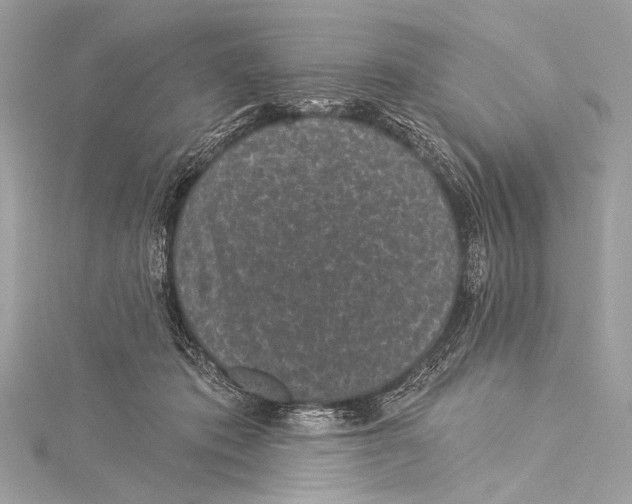 X0000115290413200911301337