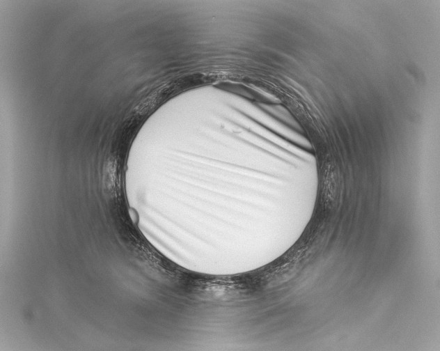 X0000115290420200911301337