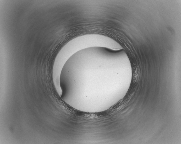 X0000115290424200911301337
