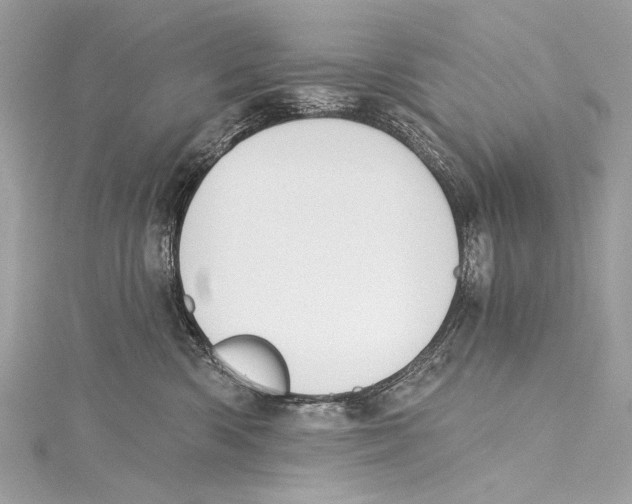 X0000115290426200911301337
